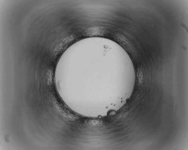 X0000102770546200809081007