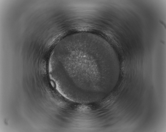 X0000102770547200809081007