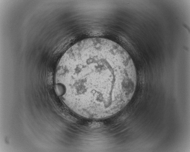 X0000102770549200809081007