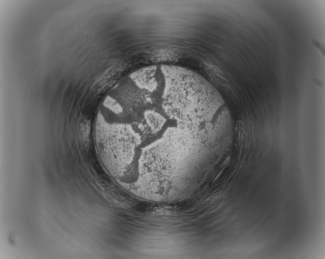 X0000102770550200809081007