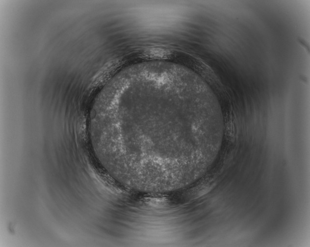 X0000102770552200809081007