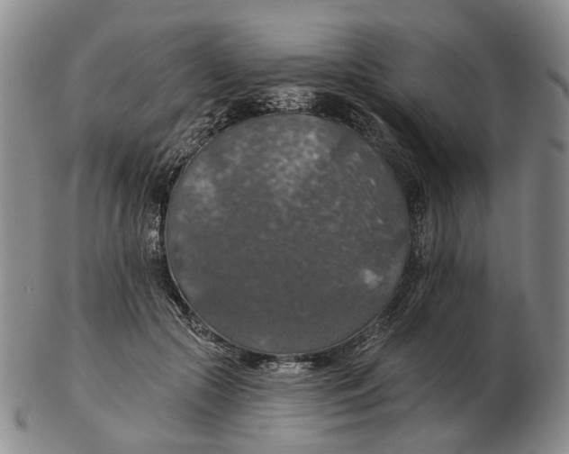 X0000102770553200809081007