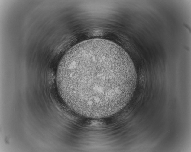 X0000102770555200809081007