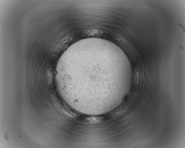 X0000102770558200809081007