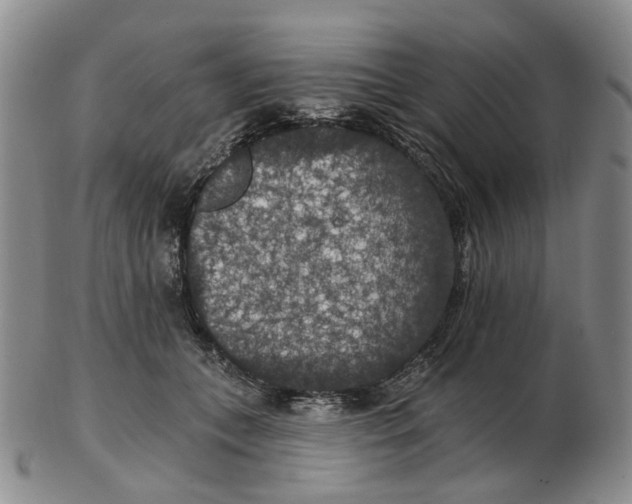 X0000102770559200809081007