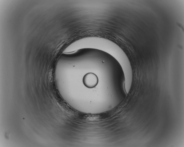 X0000102770560200809081007