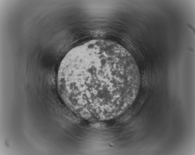 X0000102770561200809081007