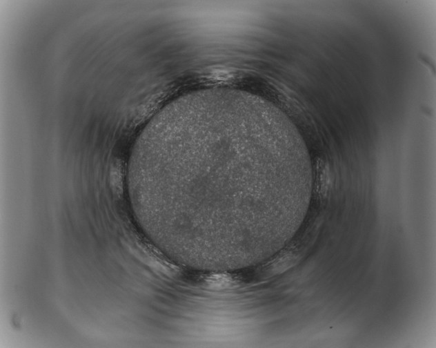 X0000102770562200809081007