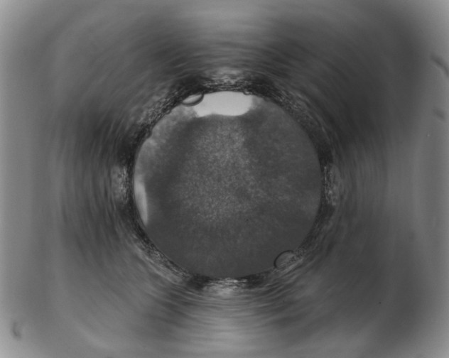 X0000102770563200809081007