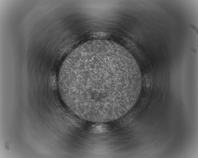 X0000102770564200809081007