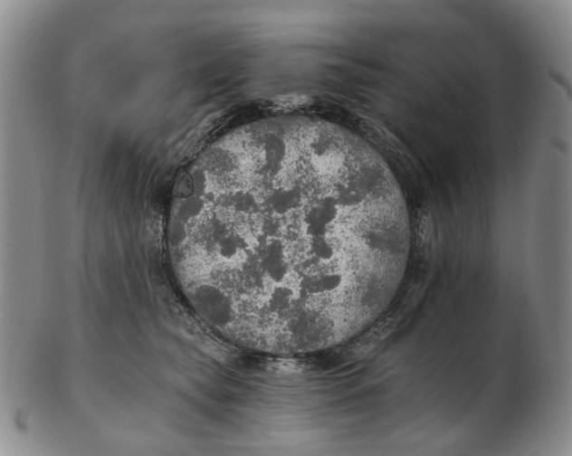 X0000102770565200809081007