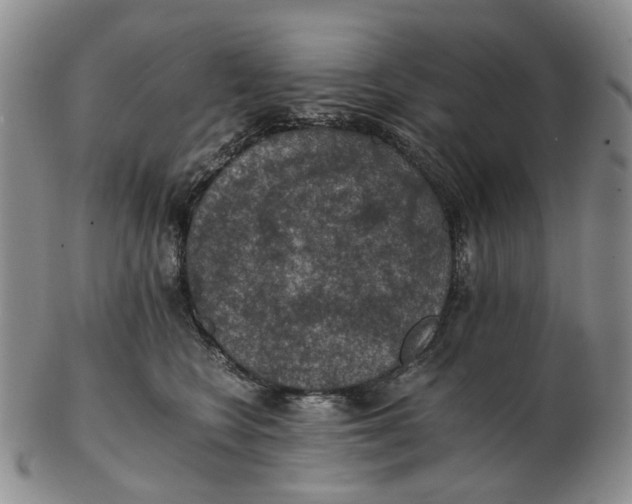 X0000102770566200809081007