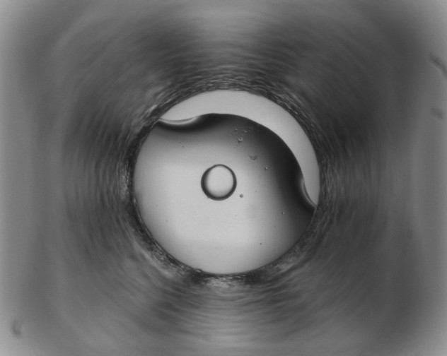 X0000102770568200809081007