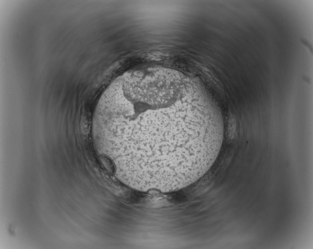 X0000102770569200809081007