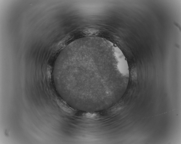 X0000102770570200809081007