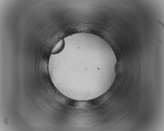 X0000102770575200809081007