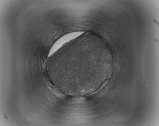 X0000102770576200809081007