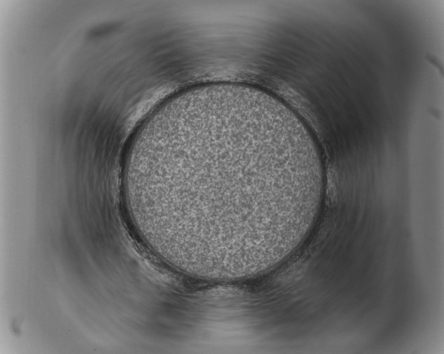 X0000102770578200809081007