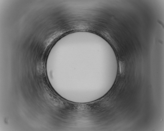 X0000102770579200809081007