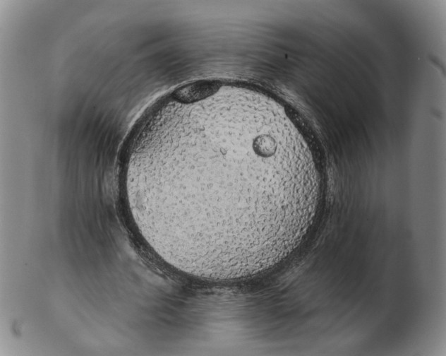 X0000102770580200809081007