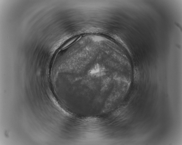 X0000102770581200809081007