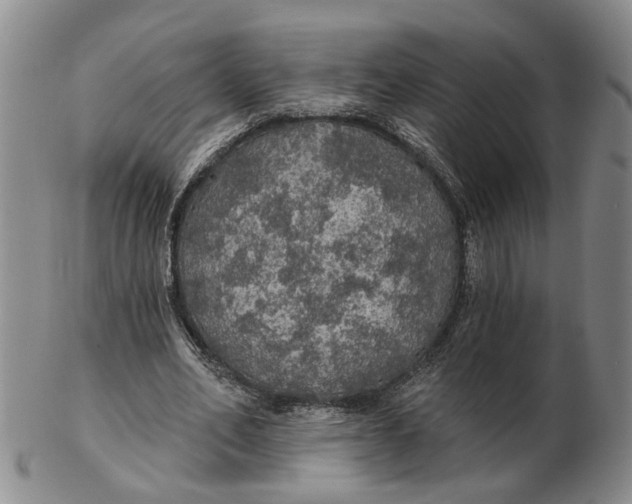 X0000102770582200809081007