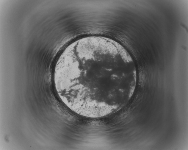 X0000102770584200809081007