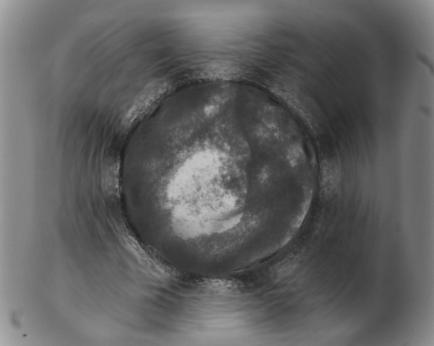 X0000102770585200809081007