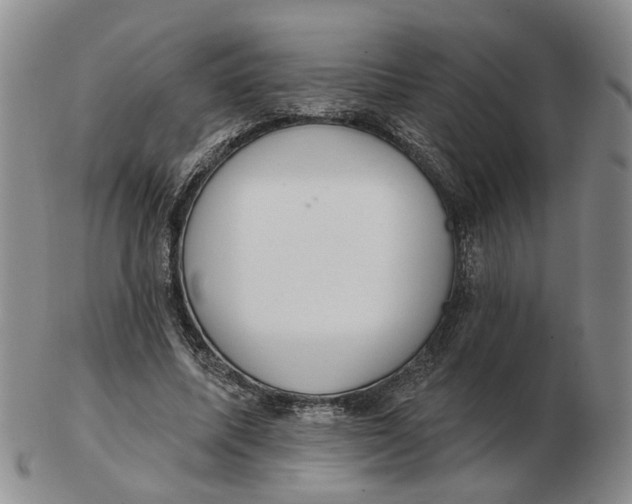 X0000102770587200809081006