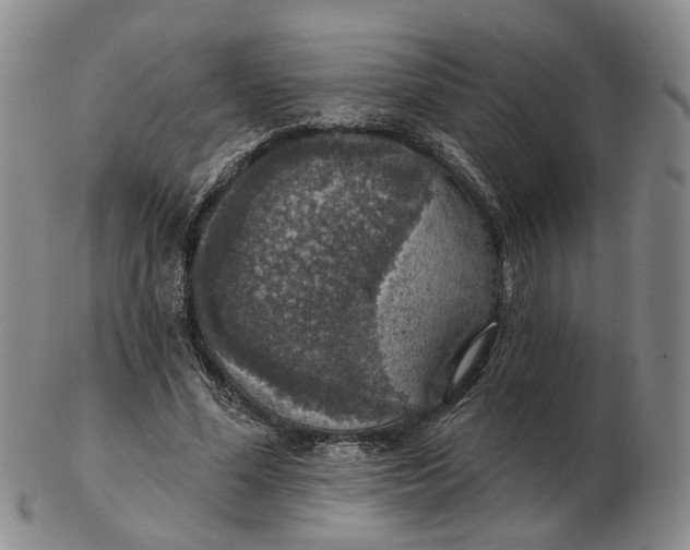 X0000102770588200809081006