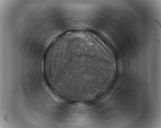 X0000102770589200809081006