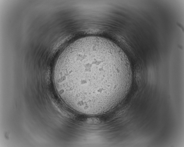 X0000102770591200809081006