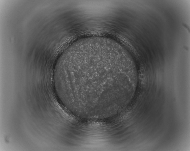 X0000102770593200809081006