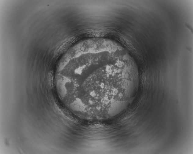 X0000102770594200809081006