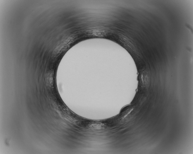 X0000102770595200809081006