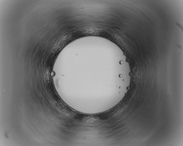 X0000102770597200809081006