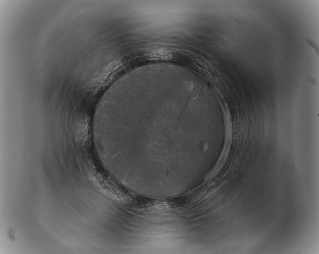 X0000102770600200809081006