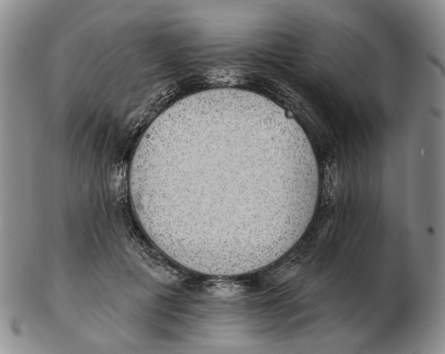 X0000102770601200809081006