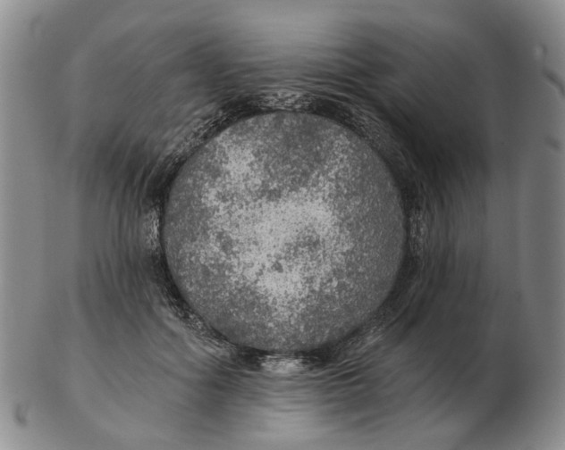 X0000102770602200809081006