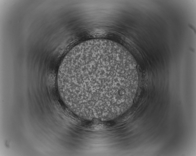 X0000102770604200809081006