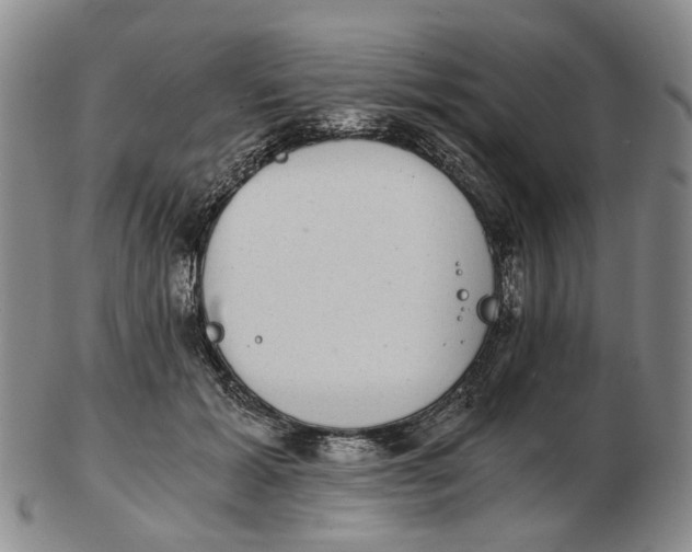 X0000102770605200809081006