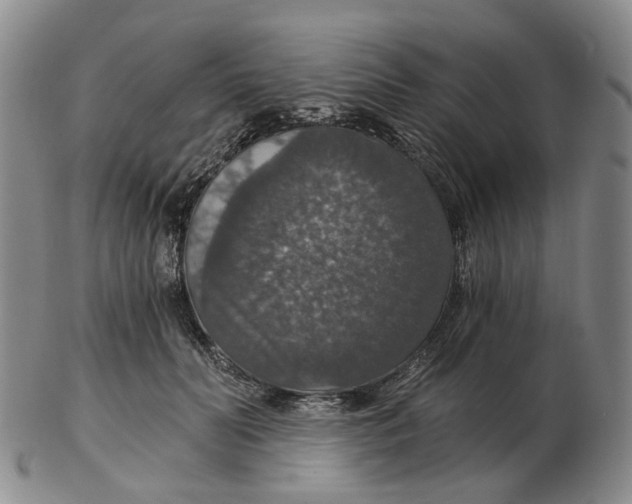 X0000102770606200809081006