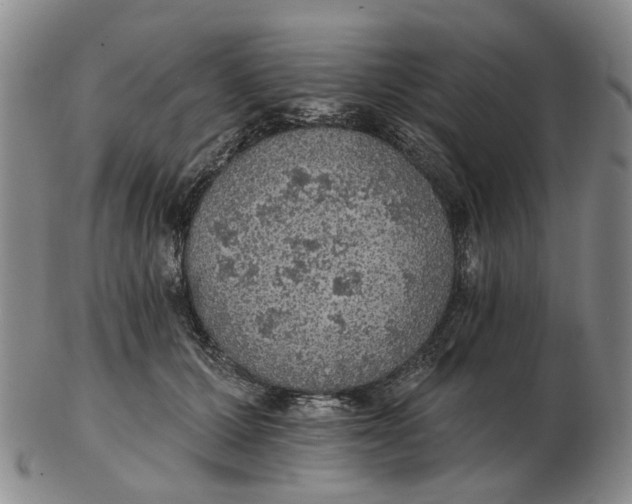 X0000102770607200809081006