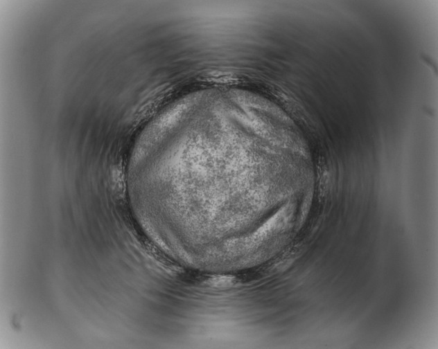 X0000102770609200809081006