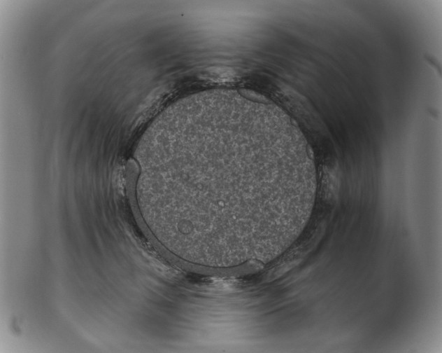 X0000102770612200809081006