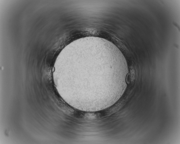 X0000102770613200809081006