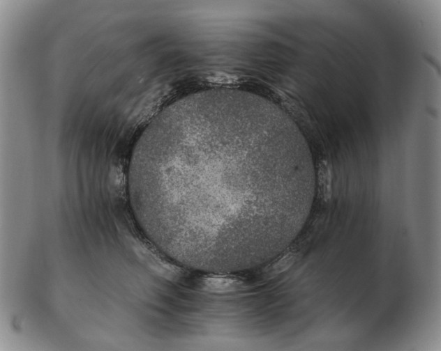 X0000102770614200809081006