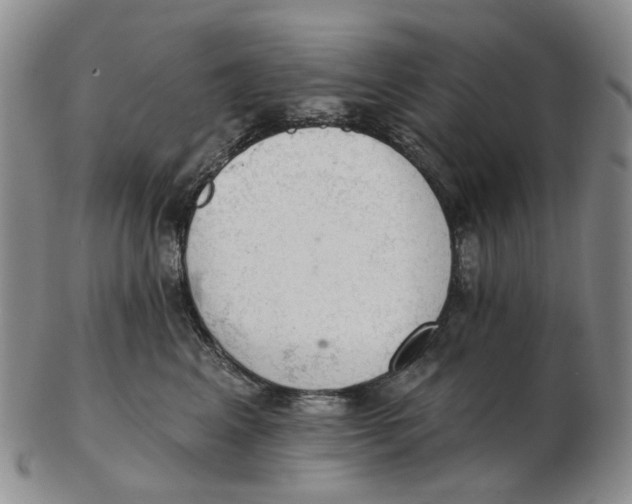 X0000102770617200809081006