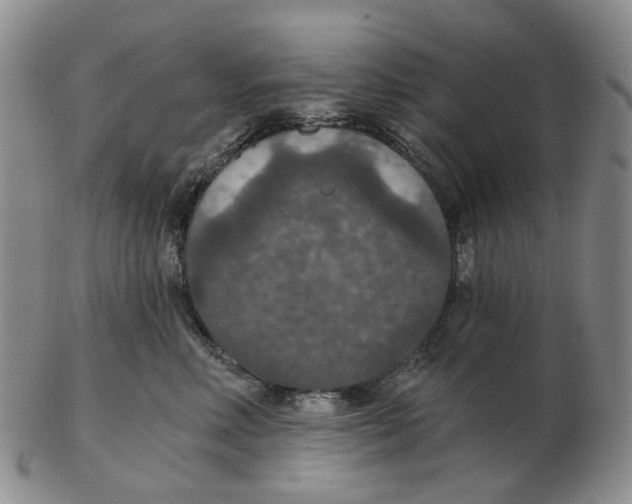 X0000102770618200809081006