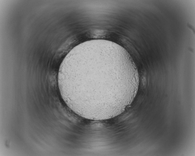 X0000102770620200809081006